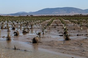 ΕΛΓΑ: 14,7 εκατ. ευρώ στους πληγέντες παραγωγούς της Λάρισας 